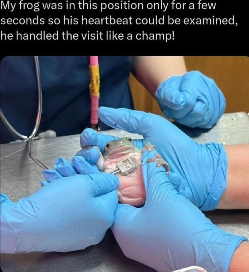 DA ICFAVERIRRGIER ol elaRe i lA eI R V seconds so his heartbeat could be examined he handled the visit like a champ