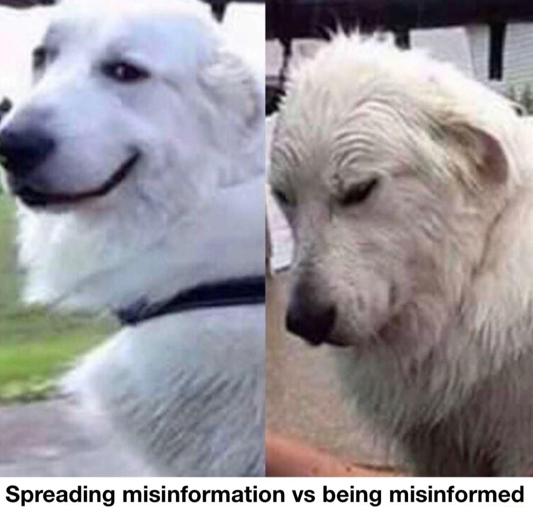 A 07 Spreading misinformation vs being mi