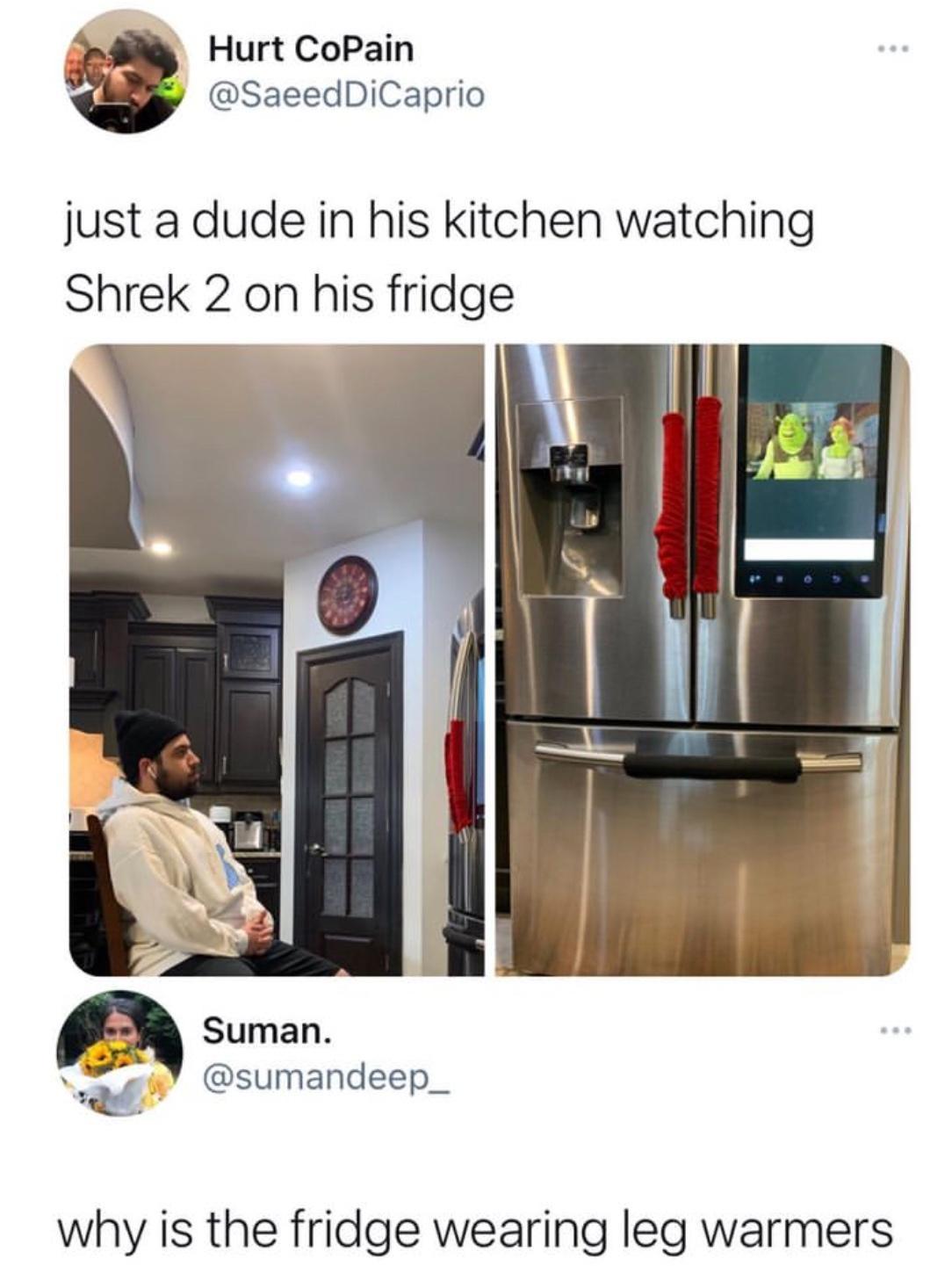 Hurt CoPain SaeedDiCaprio just a dude in his kitchen watching Shrek 2 on his fridge Suman af sumandeep_ why is the fridge wearing leg warmers