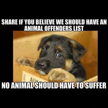 SHARE IF YOU BELIEVE WE SHOULD HAVE AN ANIMAL OFFENDERS LIST l 1 AN SUFFER