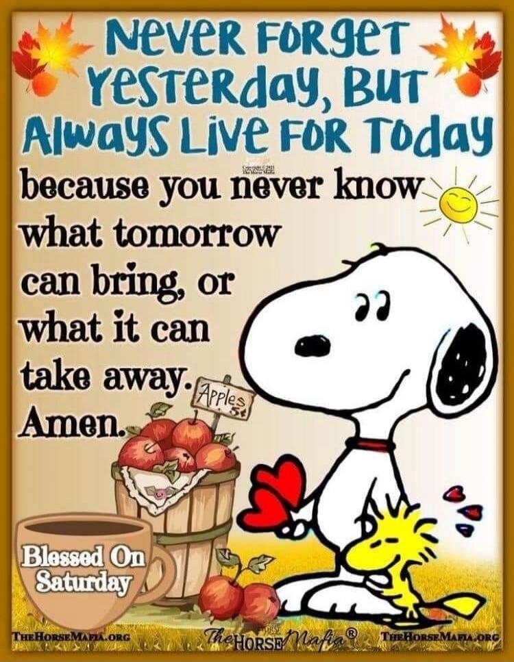 NEVER FORGET YESTERDAY, BUT ALWAYS LIVE FOR TODAY because you never know what tomorrow can bring, or what it can take away. Amen. Blessed On Saturday. Apples 5¢. THEHORSEMAFIA.ORG