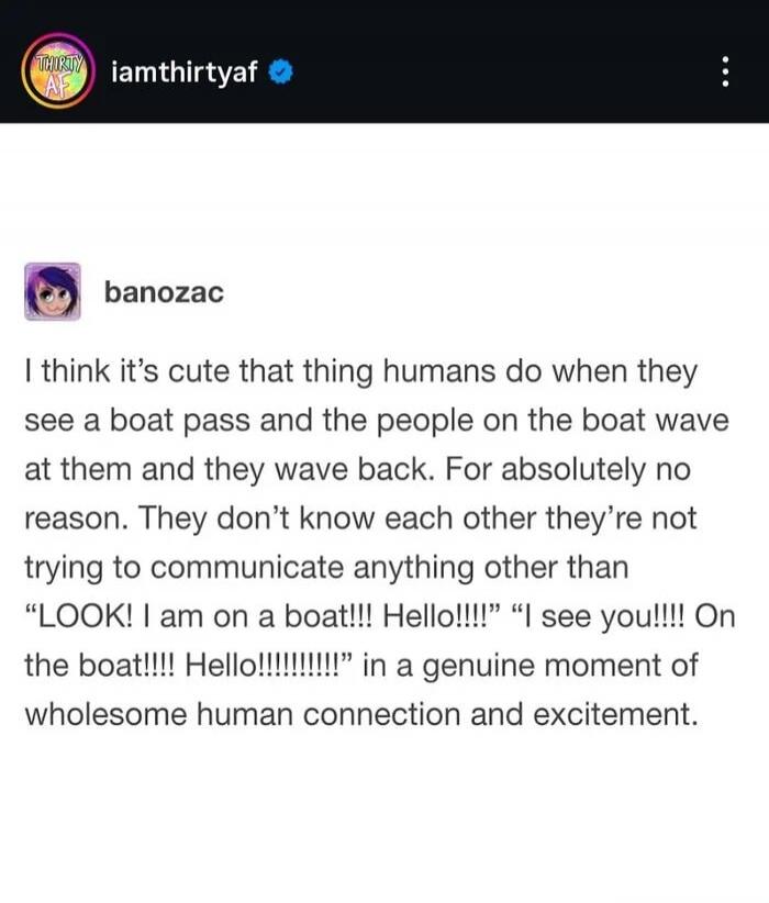 I think it's cute that thing humans do when they see a boat pass and the people on the boat wave at them and they wave back. For absolutely no reason. They don't know each other they're not trying to communicate anything other than “LOOK! I am on a boat!!! Hello!!!!” “I see you!!!! On the boat!!!! Hello!!!!!!!!” in a genuine moment of wholesome human connection and excitement.