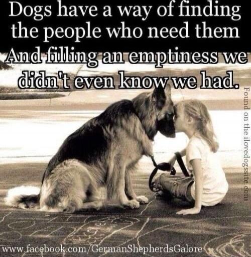 Dogs have a way of finding the people who need them and filling an emptiness we didn't even know we had.