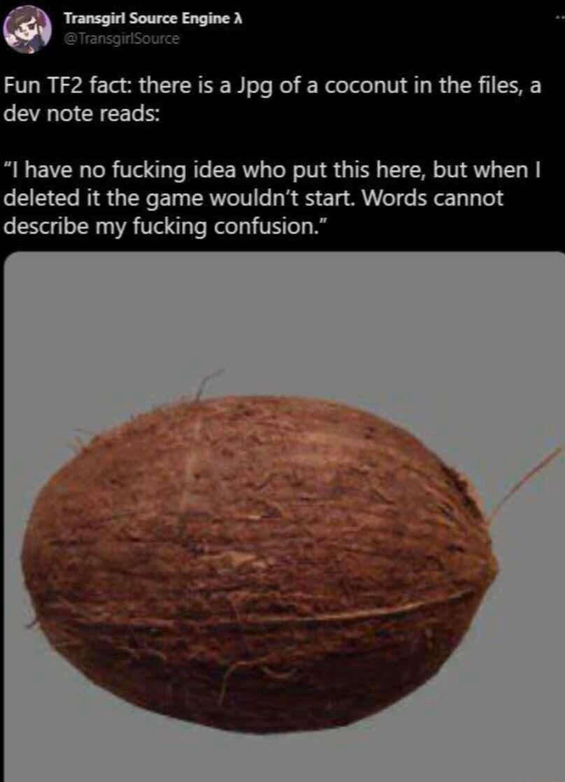 Q fransgirl Source Engine A Fun TF2 fact there is a Jpg of a coconut in the files a dev note reads I have no fucking idea who put this here but when deleted it the game wouldnt start Words cannot describe my fucking confusion