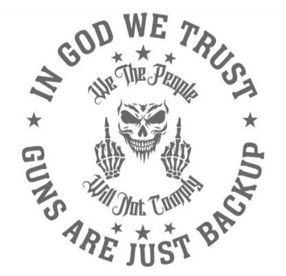 IN GOD WE TRUST GUNS ARE JUST BACKUP We The People Will Not Comply