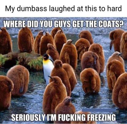 My dumbass Iaughed at this to hard SEHIIlSlYlMFIIBIINi FREEZING L1 5LAER