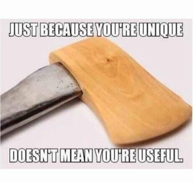 JUST BECAUSE YOU'RE UNIQUE DOESN'T MEAN YOU'RE USEFUL.