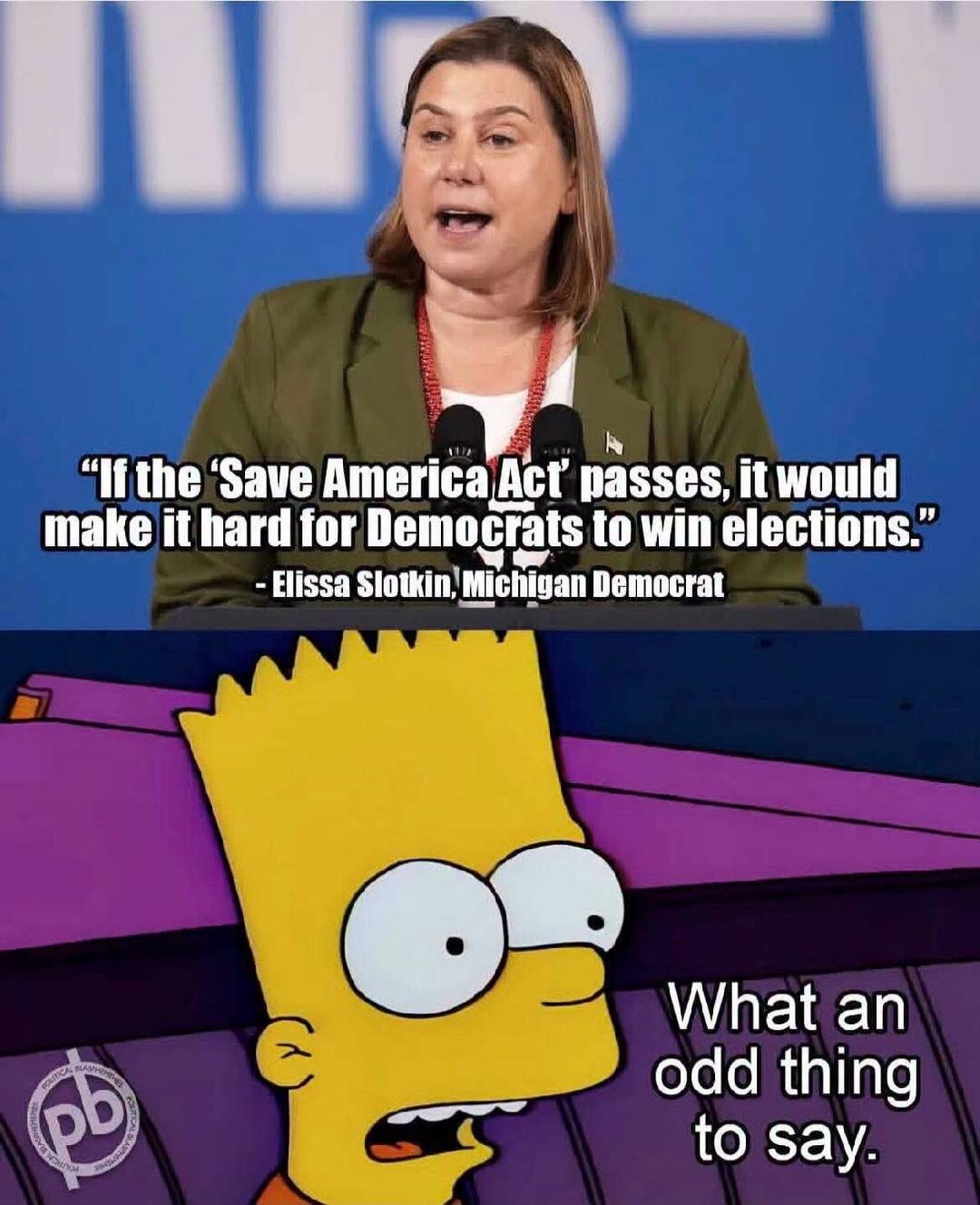 If the 'Save America Act' passes, it would make it hard for Democrats to win elections. - Elissa Slotkin, Michigan Democrat. What an odd thing to say.