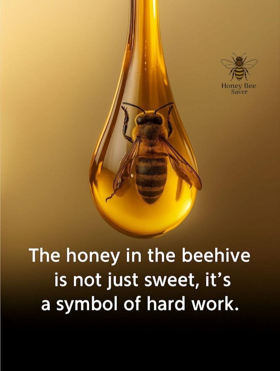 The honey in the beehive is not just sweet, it's a symbol of hard work. Honey Bee Saver