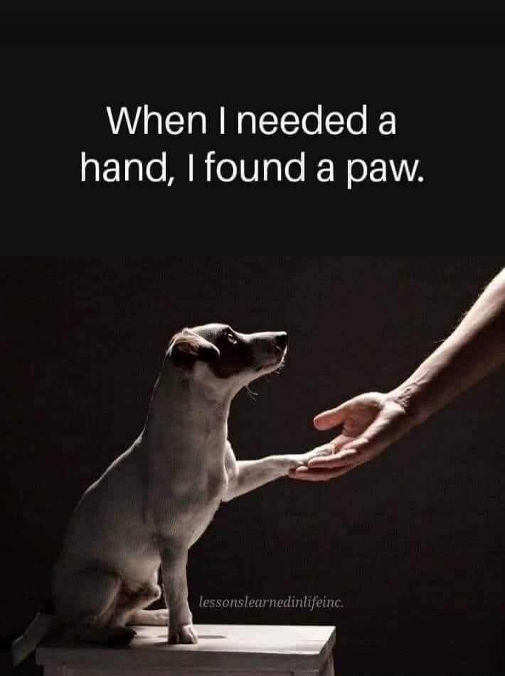 When I needed a hand, I found a paw.