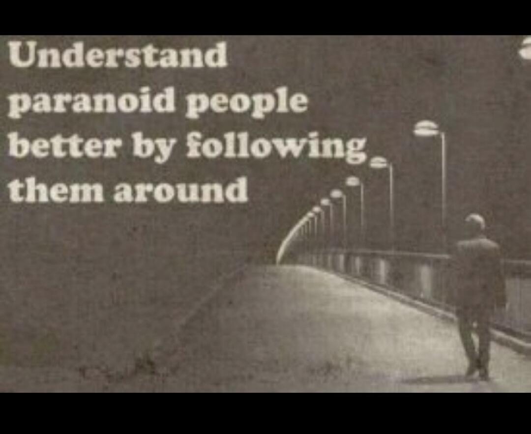 Understand paranoid people better by following them around