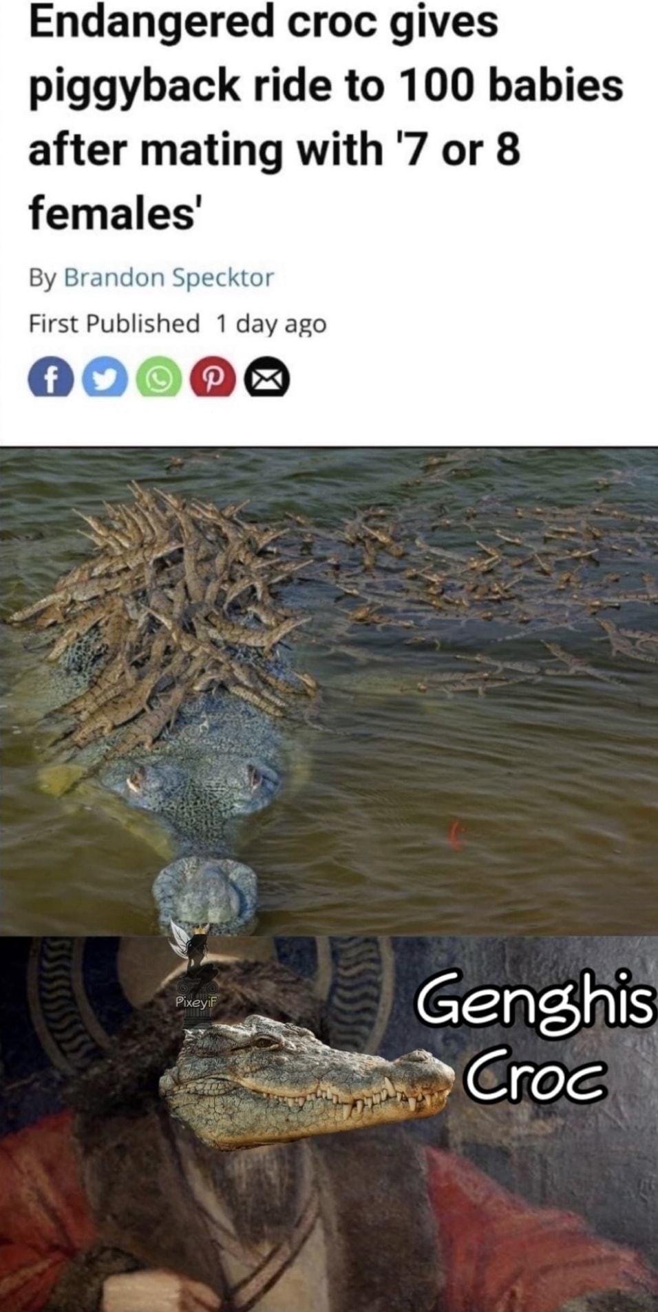 Endangered croc gives piggyback ride to 100 babies after mating with 7 or 8 females By Brandon Specktor First Published 1 day ago 0000 M x Genghis T X TS ey Croc