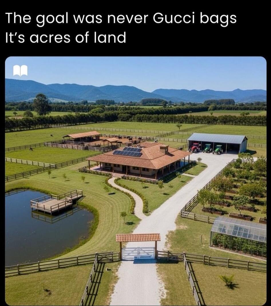 The goal was never Gucci bags It's acres of land