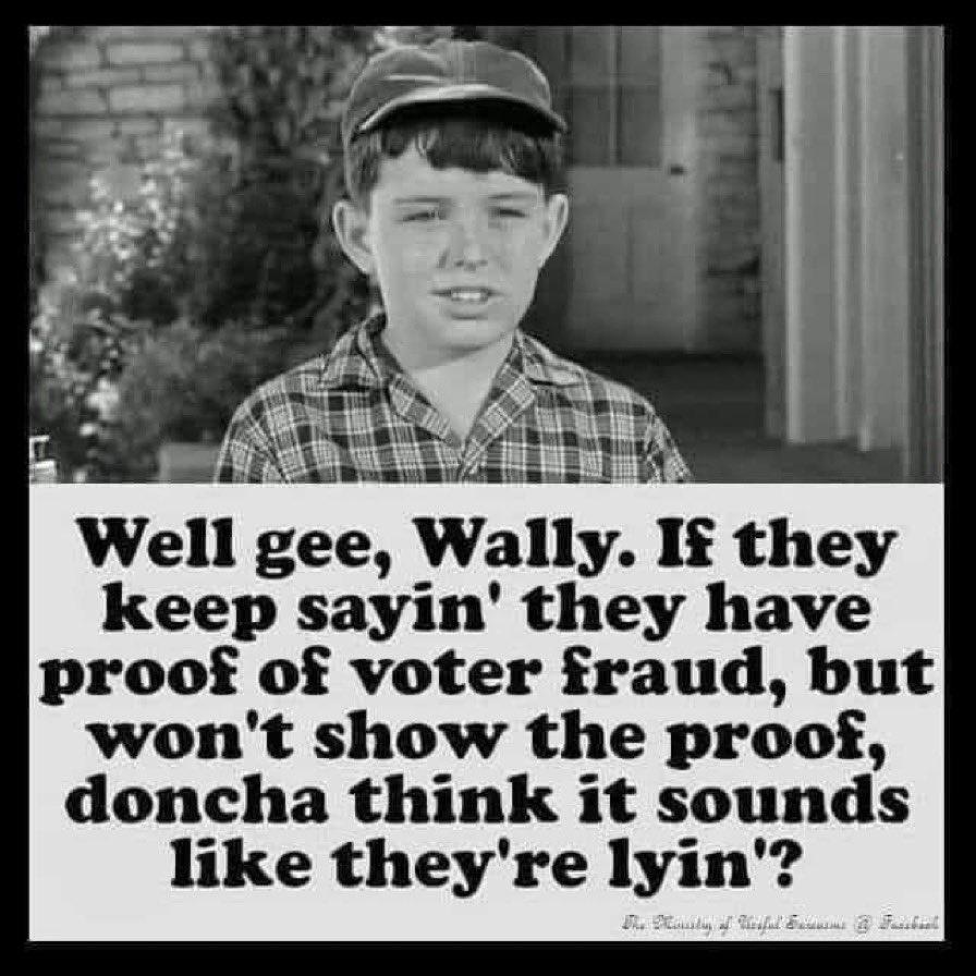 Well gee Wally If they keep sayin they have proot of voter fraud but wont show the proof doncha think it sounds like theyre lyin