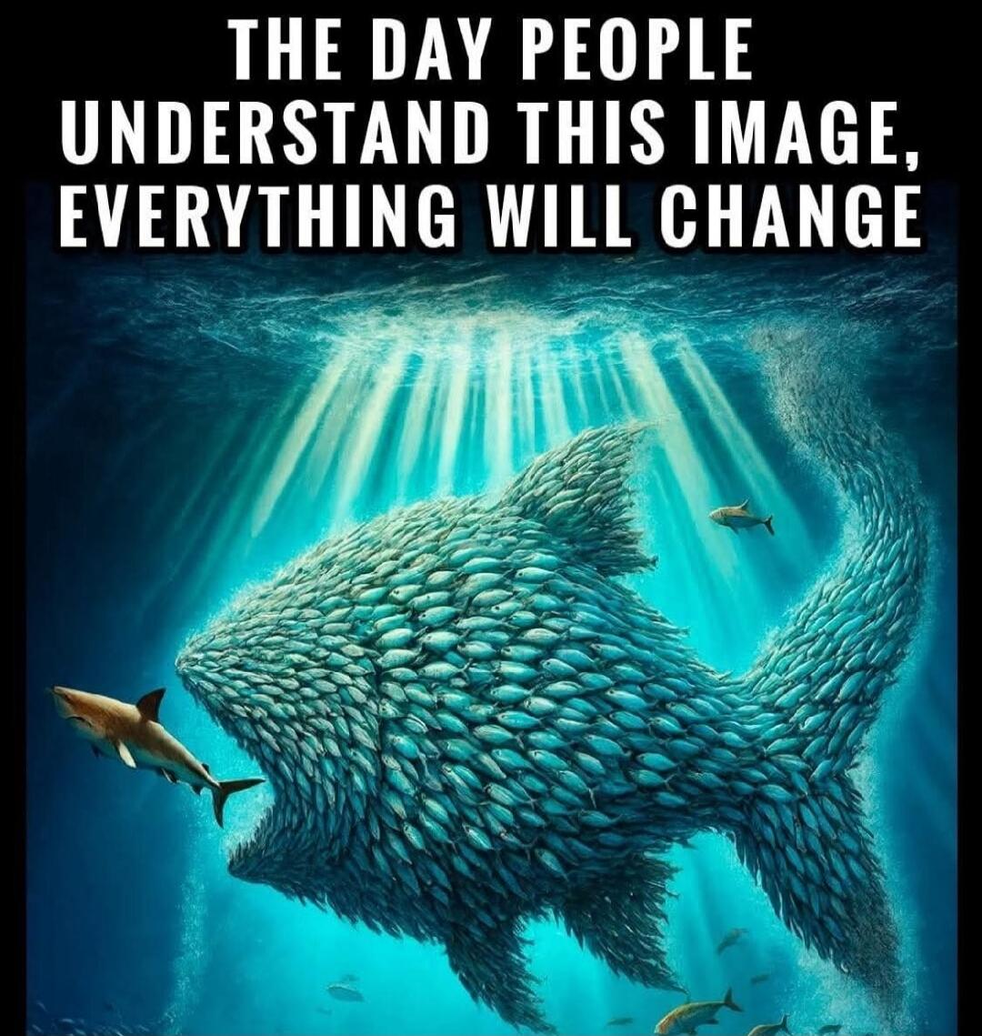 THE DAY PEOPLE UNDERSTAND THIS IMAGE, EVERYTHING WILL CHANGE