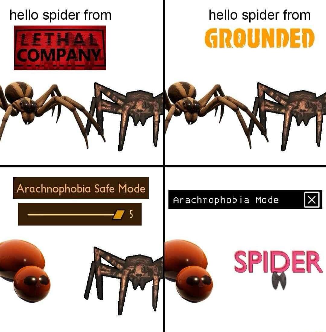 hello spider from hello spider from Arachnophobia Safe Mode