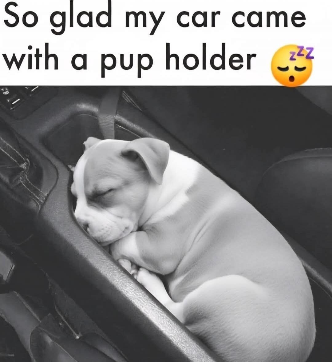 So glad my car came with a pup holder 😴