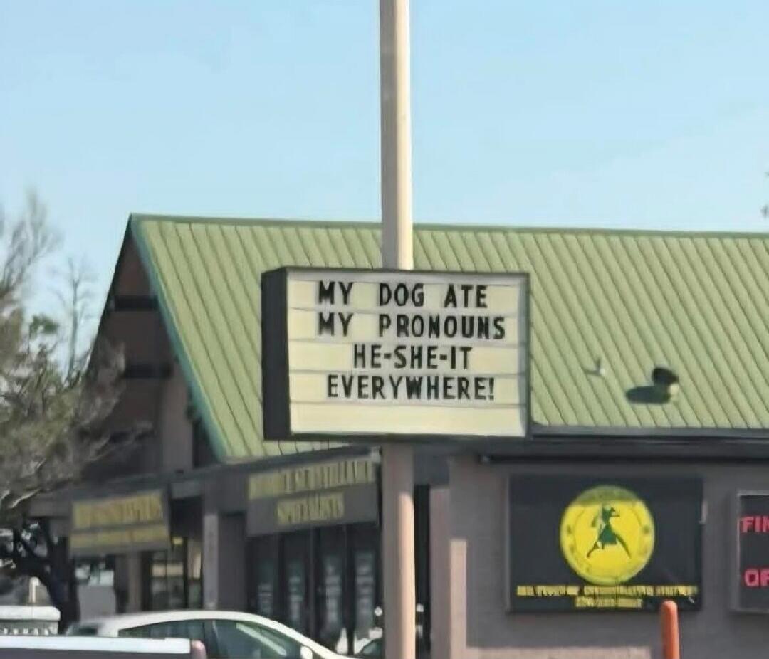 MY DOG ATE MY PRONOUNS HE-SHE-IT EVERYWHERE!