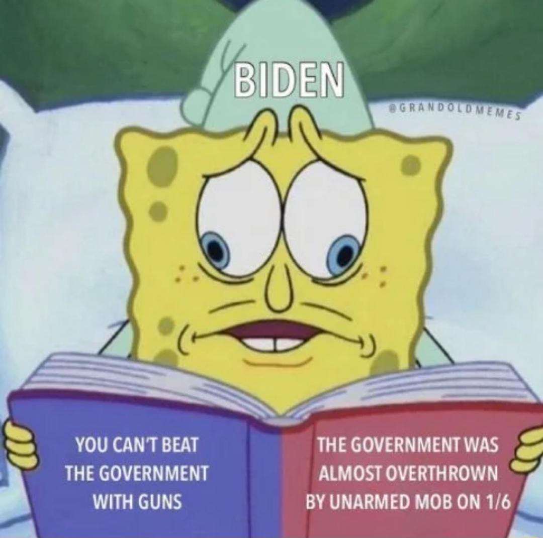 YOU CANT BEAT THE GOVERNMENT WITH GUNS