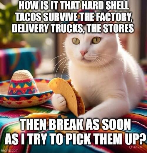 HOW IS IT THAT HARD SHELL TACOS SURVIVE THE FACTORY, DELIVERY TRUCKS, THE STORES THEN BREAK AS SOON AS I TRY TO PICK THEM UP?