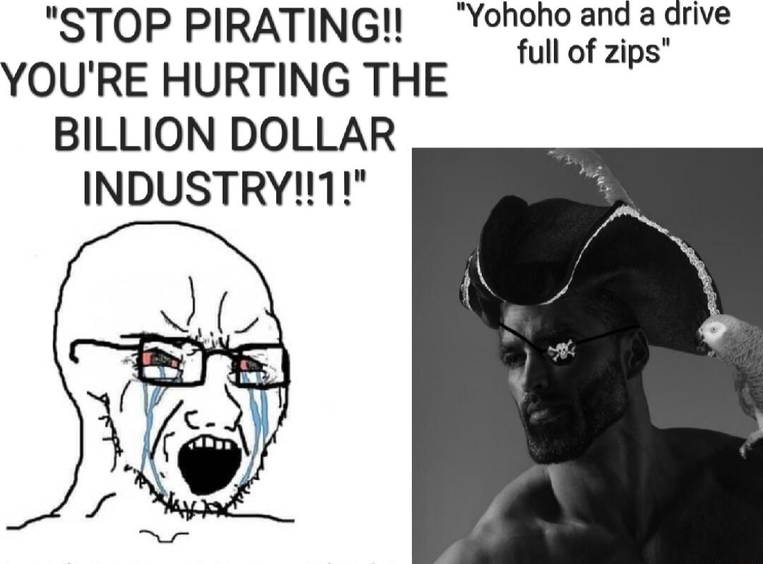 STOP PIRATING Yohohoand a drive full of zips YOURE HURTING THE BILLION DOLLAR INDUSTRYIT