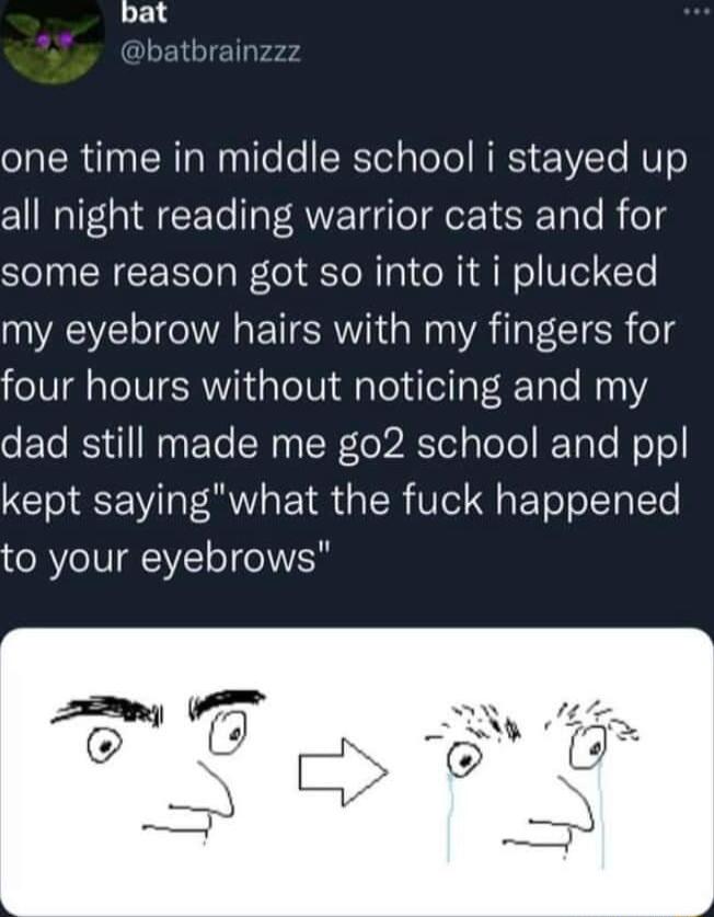 bat one time in middle school i stayed up all night reading warrior cats and for some reason got so into it i plucked my eyebrow hairs with my fingers for four hours without noticing and my dad still made me go2 school and ppl kept sayingwhat the fuck happened to your eyebrows