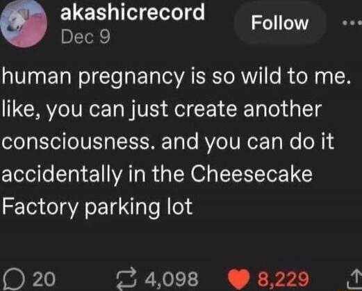 human pregnancy is so wild to me. like, you can just create another consciousness. and you can do it accidentally in the Cheesecake Factory parking lot