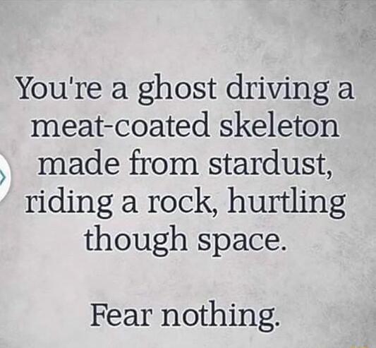 Youre a ghost driving a meat coated skeleton made from stardust riding a rock hurtling though space Fear nothing