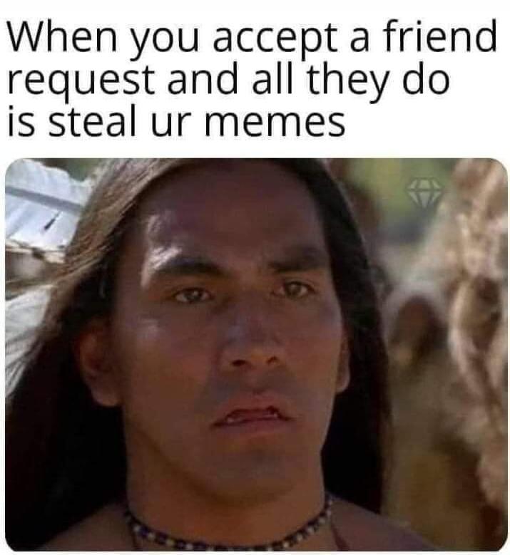When you accept a friend request and all they do is steal ur memes