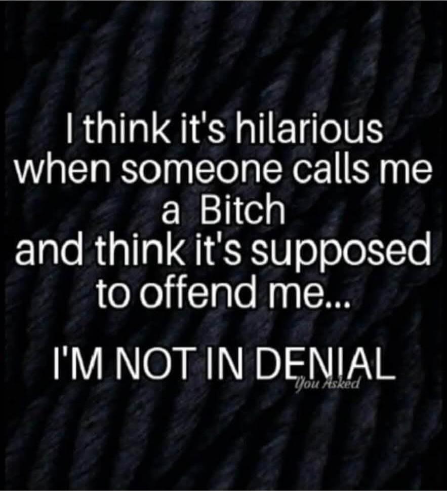 I think it's hilarious when someone calls me a Bitch and think it's supposed to offend me... I'M NOT IN DENIAL