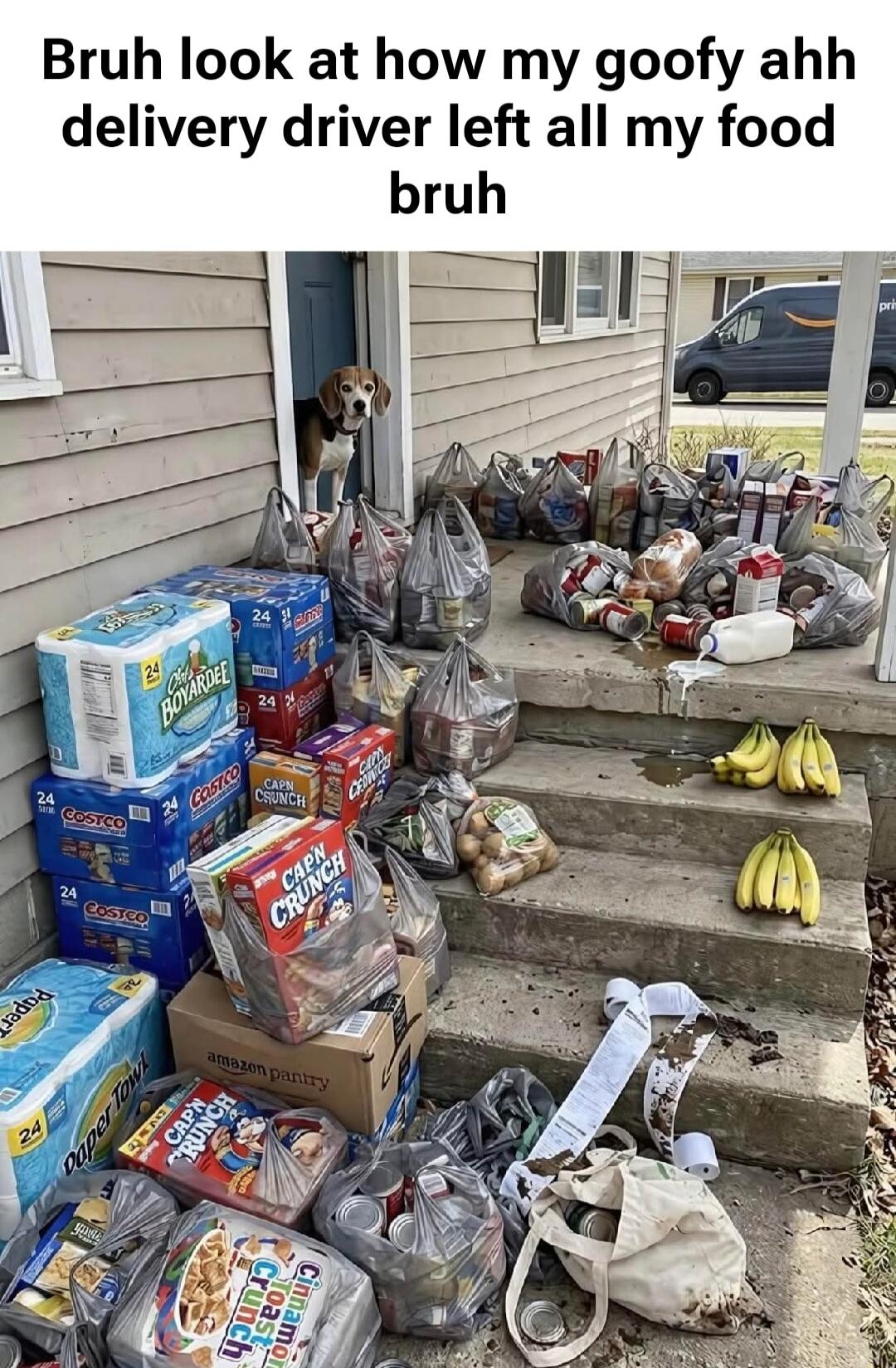 Bruh look at how my goofy ahh delivery driver left all my food bruh