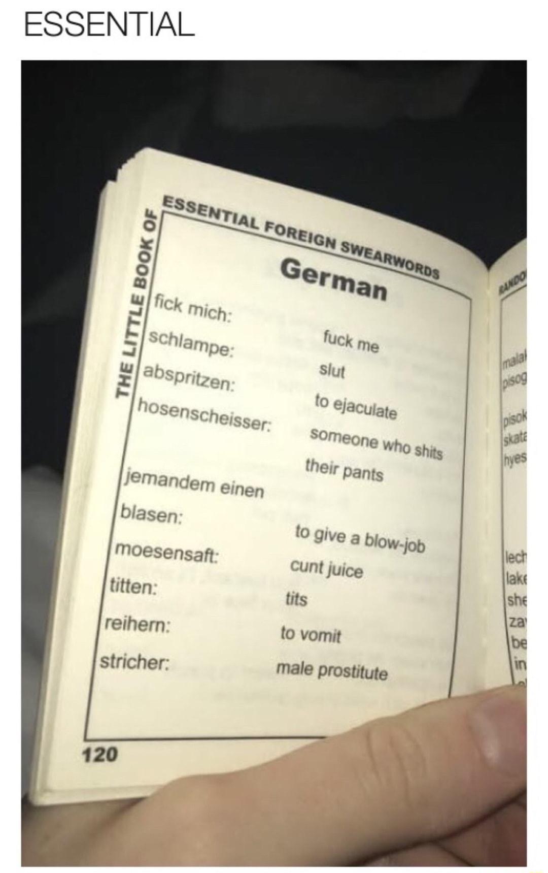 ESSENTIAL blasen Moesensaft unt juice titten tits reihern to vomit stricher male prostitute