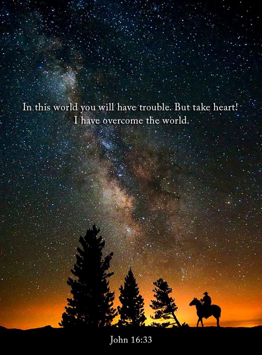In this world you will have trouble. But take heart! I have overcome the world. John 16:33