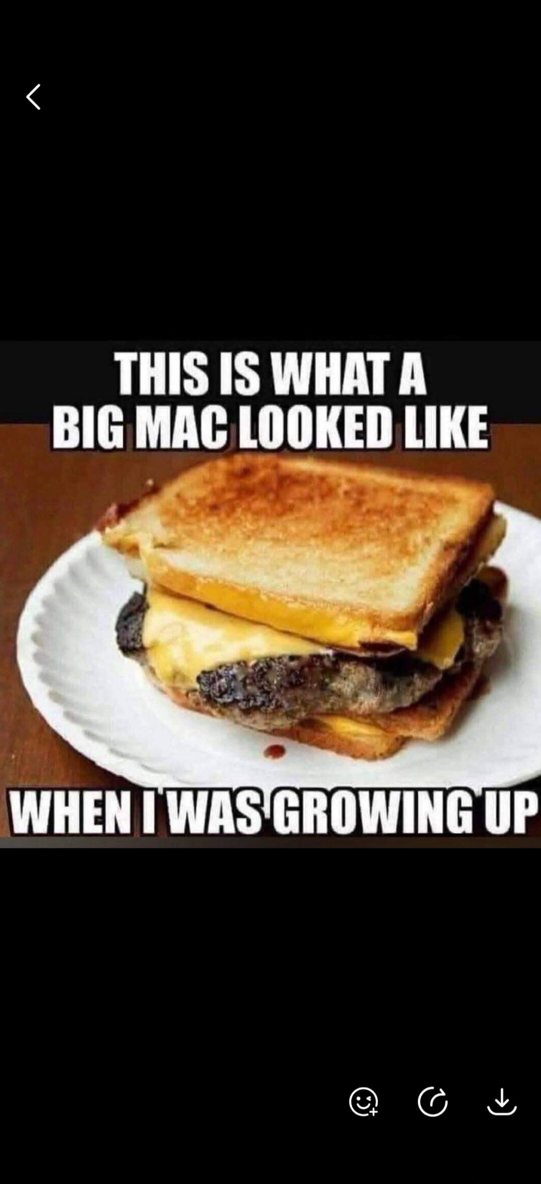 THIS IS WHAT A BIG MAC LOOKED LIKE WHEN I WAS GROWING UP