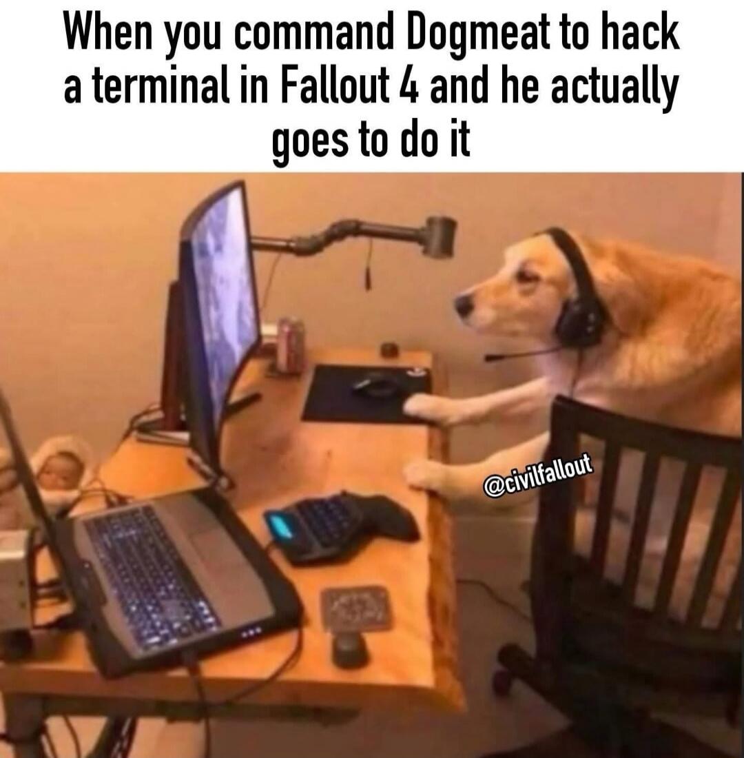 When you command Dogmeat to hack a terminal in Fallout 4 and he actually goes to do it