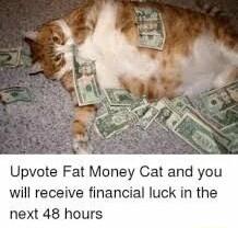 Upvote Fat Money Cat and you will receive financial luck in the next 48 hours