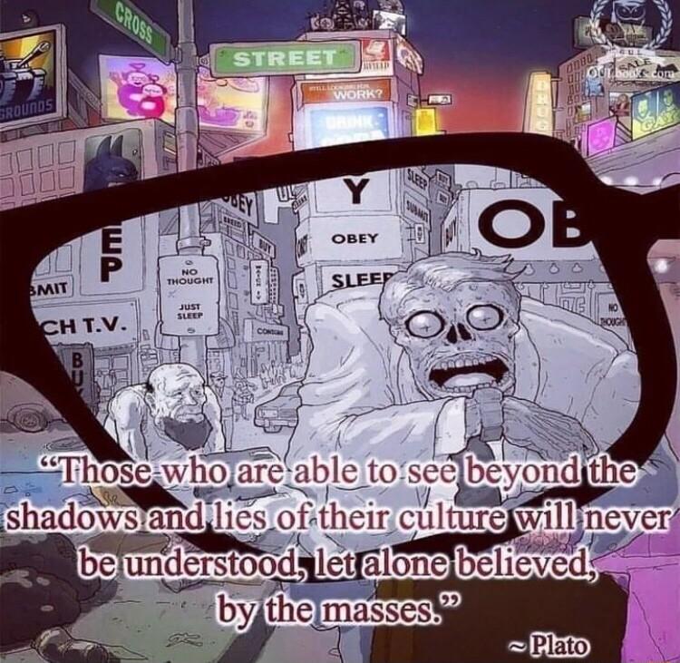 le tose Cvondthe shadows and 1i their culiure jwillineyer beundersto d