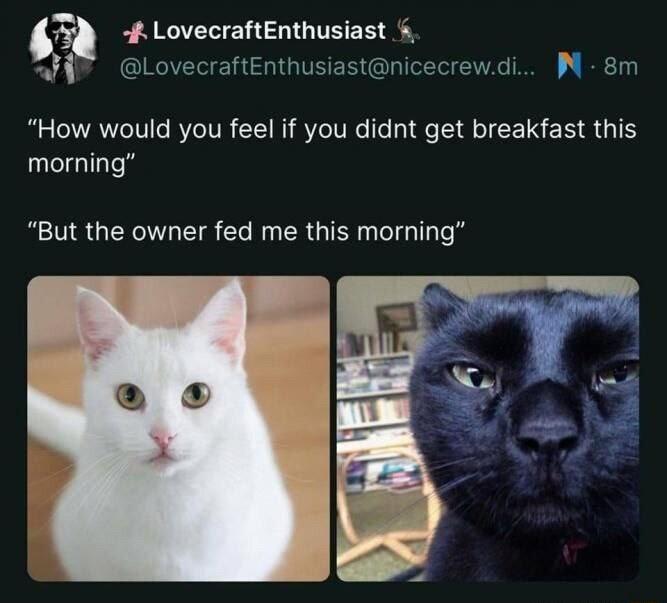 LovecraftEnthusiast w LovecraftEnthusiastnicecrewdi N 8m How would you feel if you didnt get breakfast this morning But the owner fed me this morning