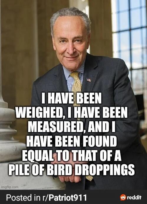 I HAVE BEEN WEIGHED, I HAVE BEEN MEASURED, AND I HAVE BEEN FOUND EQUAL TO THAT OF A PILE OF BIRD DROPPINGS
Posted in r/Patriot911