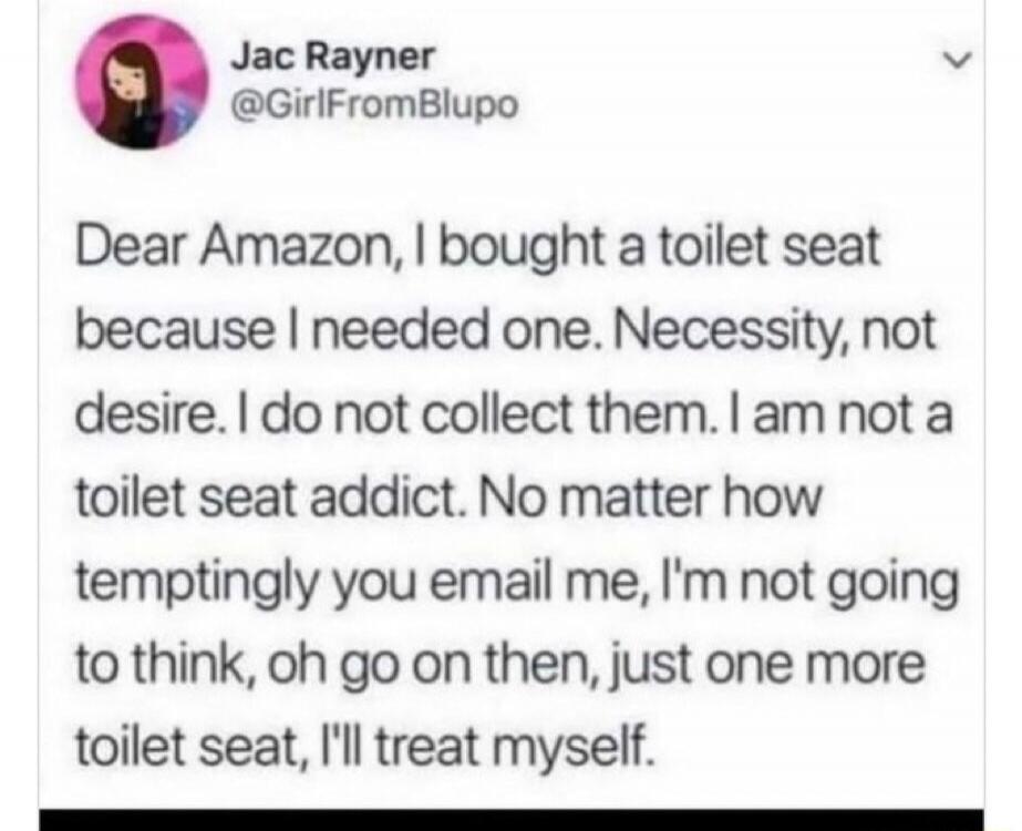 Dear Amazon, I bought a toilet seat because I needed one. Necessity, not desire. I do not collect them. I am not a toilet seat addict. No matter how temptingly you email me, I'm not going to think, oh go on then, just one more toilet seat, I'll treat myself.