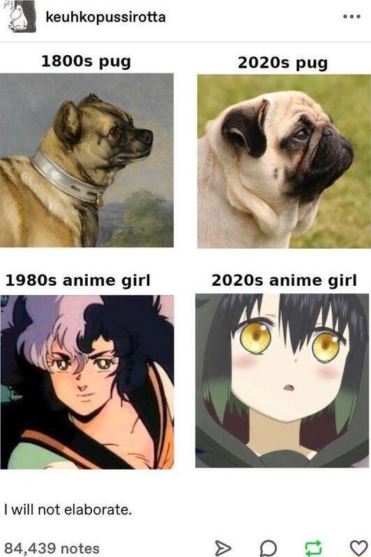keuhkopussirotta 1800s pug 2020s pug ma 2020s anime girl Iwill not elaborate 84439 notes S 0O a Q