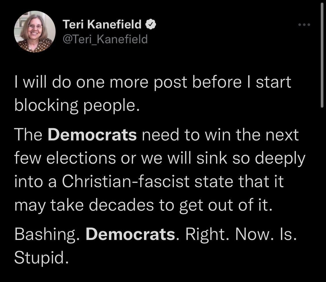 Teri Kanefield Teri_Kanefield will do one more post before start blocking people The Democrats need to win the next few elections or we will sink so deeply N IRERRERE SR E CROEIN may take decades to get out of it Bashing Democrats Right Now Is Stupid