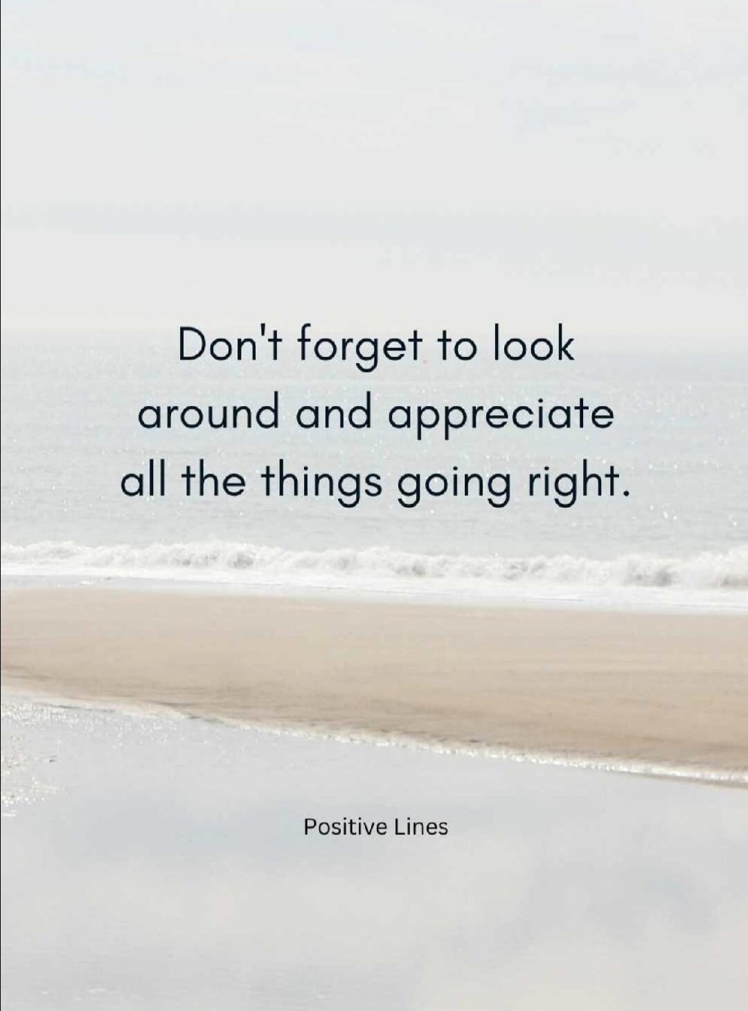 Don't forget to look around and appreciate all the things going right. Positive Lines