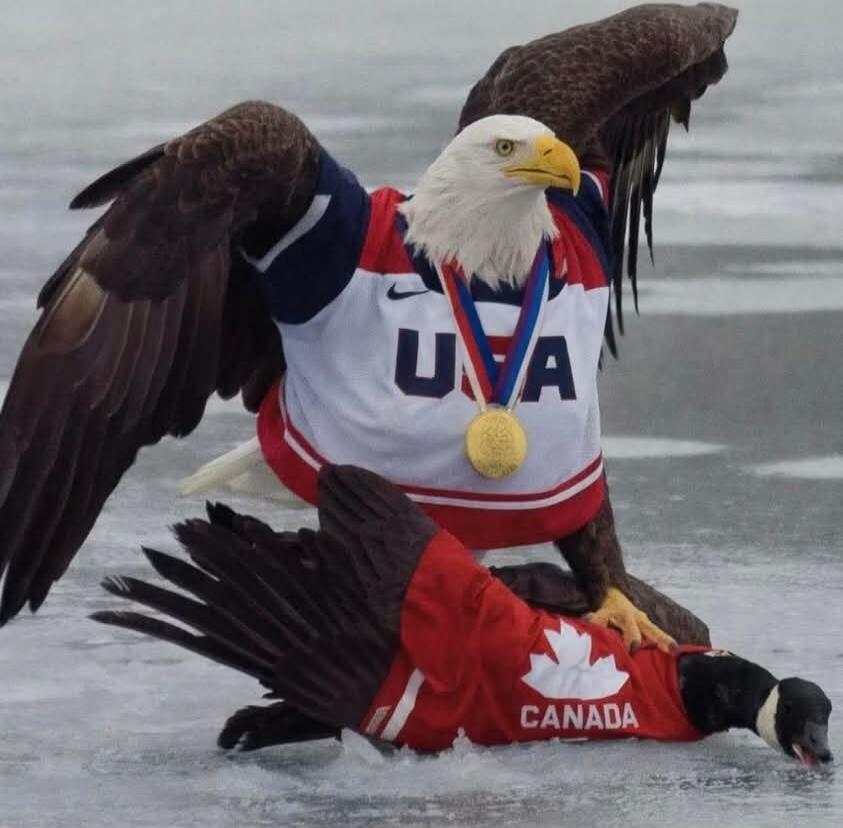 A bald eagle wearing a USA jersey and a gold medal stands triumphantly over a goose wearing a Canada jersey on an icy surface. The eagle appears to have won a symbolic competition against the goose.