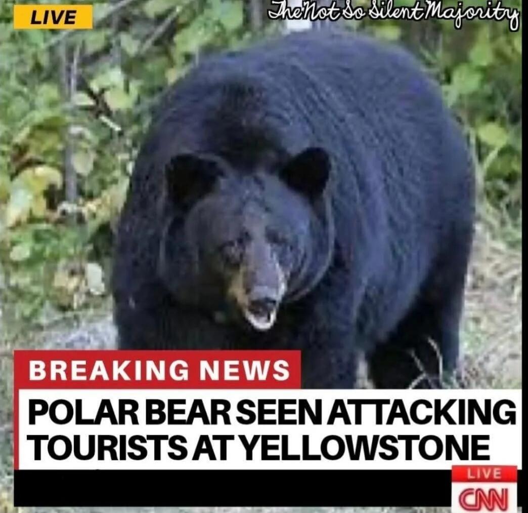 LIVE
BREAKING NEWS
POLAR BEAR SEEN ATTACKING TOURISTS AT YELLOWSTONE
CNN