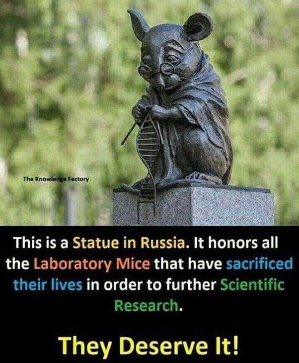 The Knowltdi Factory This is a Statue in Russia It honors all the Laboratory Mice that have sacrificed their lives in order to further Scientific BENET R They Deserve It