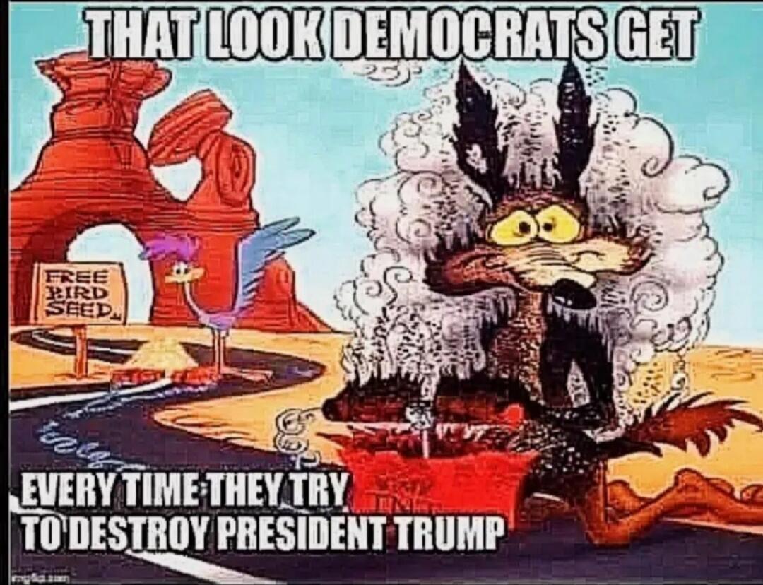 THAT LOOK DEMOCRATS GET
EVERY TIME THEY TRY TO DESTROY PRESIDENT TRUMP