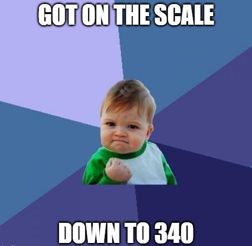 GOTONTHE SCALE Y DOWNTO 310