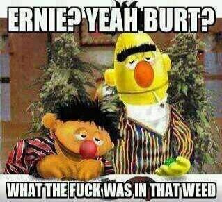 ERNIE? YEAH BURT? WHAT THE FUCK WAS IN THAT WEED