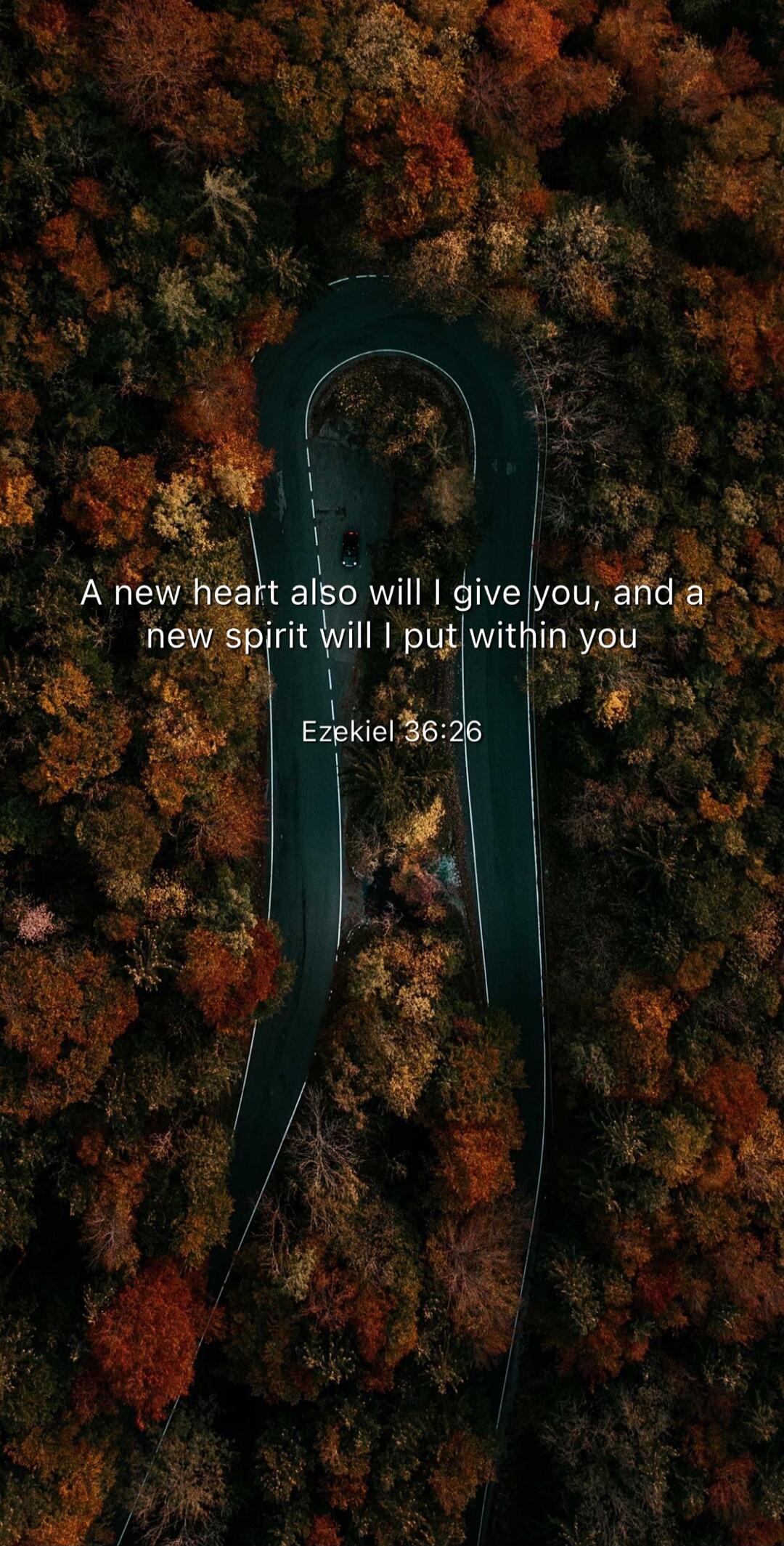 A new heart also will I give you, and a new spirit will I put within you Ezekiel 36:26